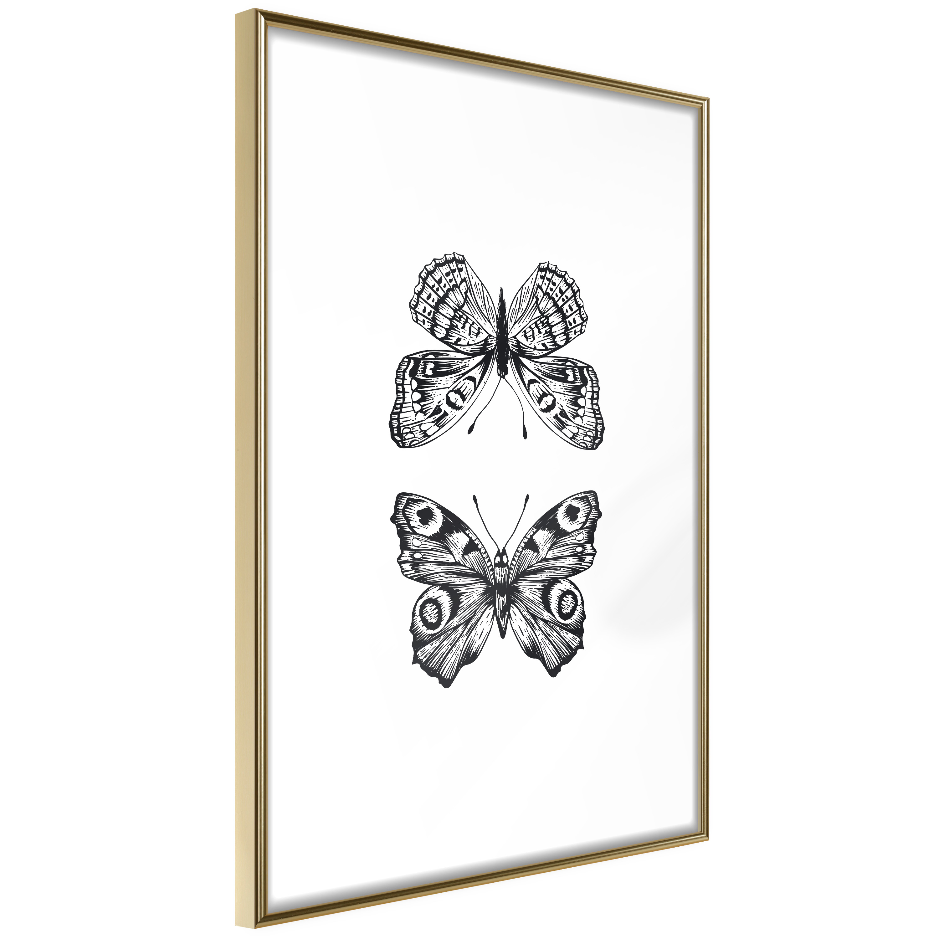 Affisch - Two Butterflies [Poster] 40x60 Guld ram, 40x60 cm