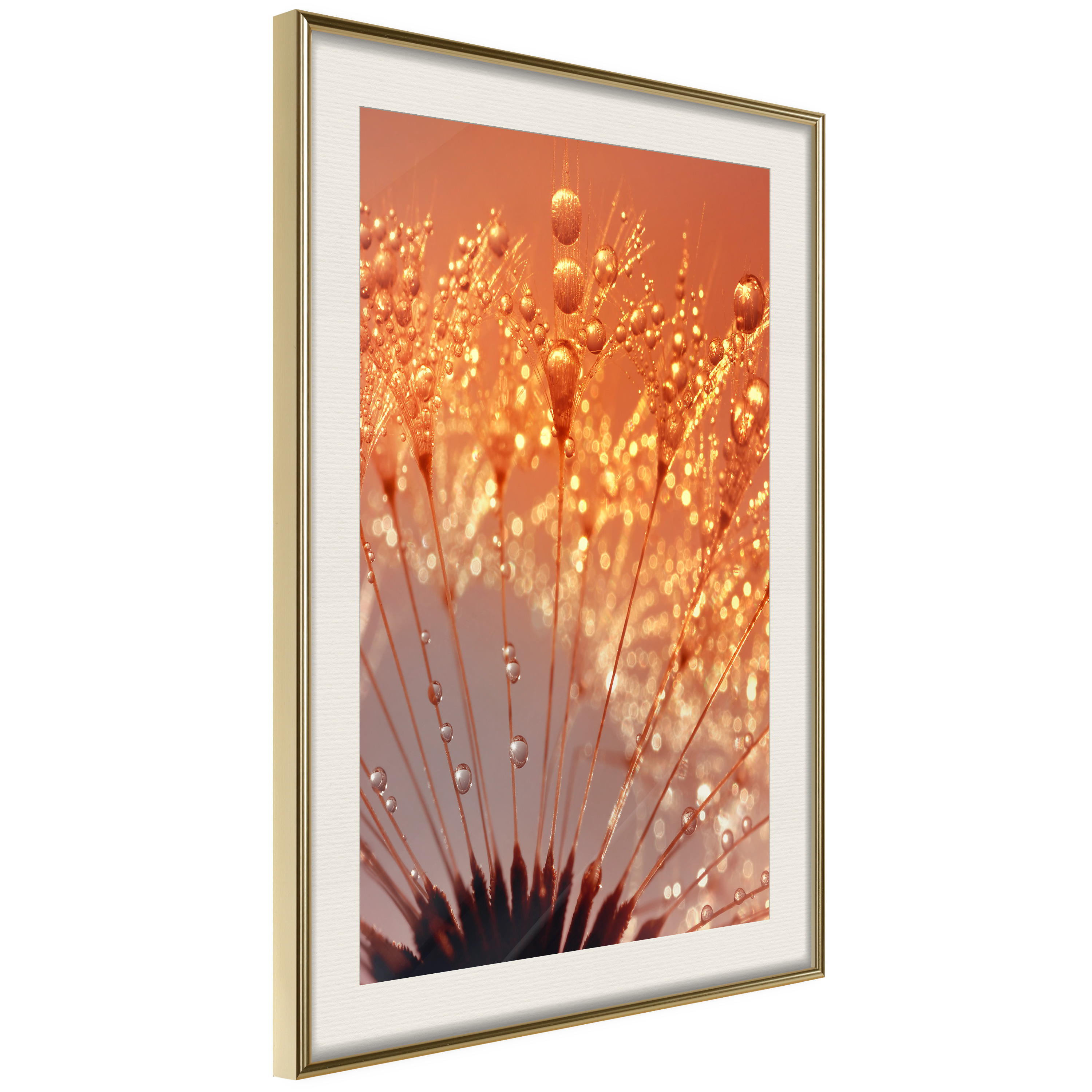 Affisch - Autumn Dandelion [Poster] 40x60 Guld ram med passepartout, 40x60 cm