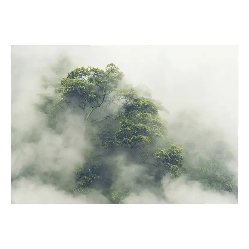 Fototapet Arkiio Foggy Amazon