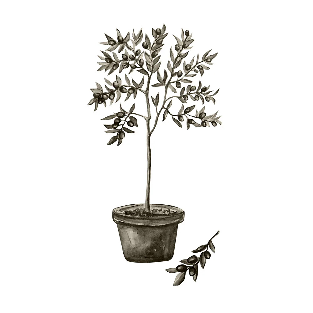 Posters Venture Home Olive Vit/grön