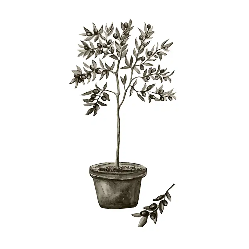 Posters Venture Home Olive Vit/grön