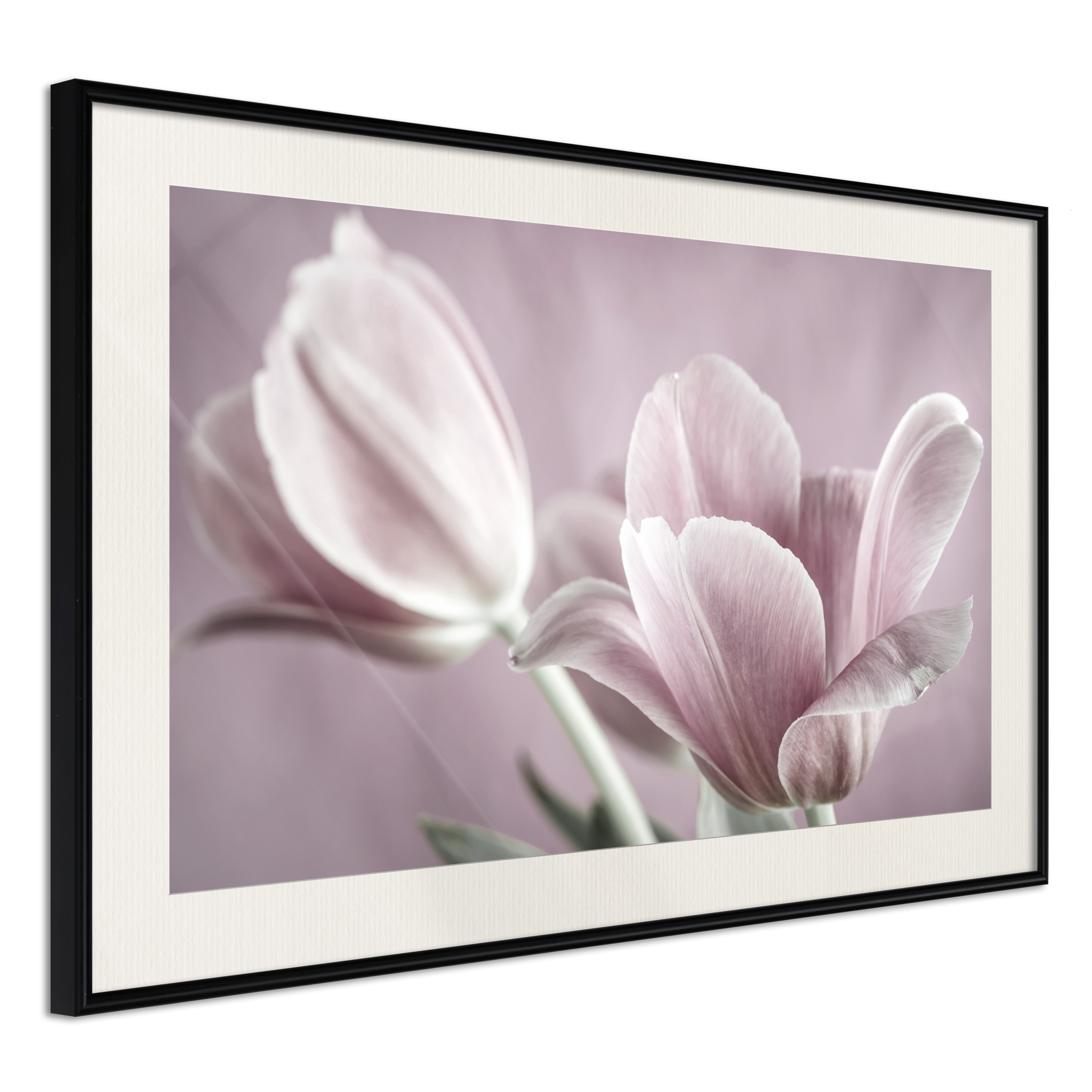 Affisch - Pink Tulips [Poster] 30x20 Svart ram med passepartout, 30x20 cm