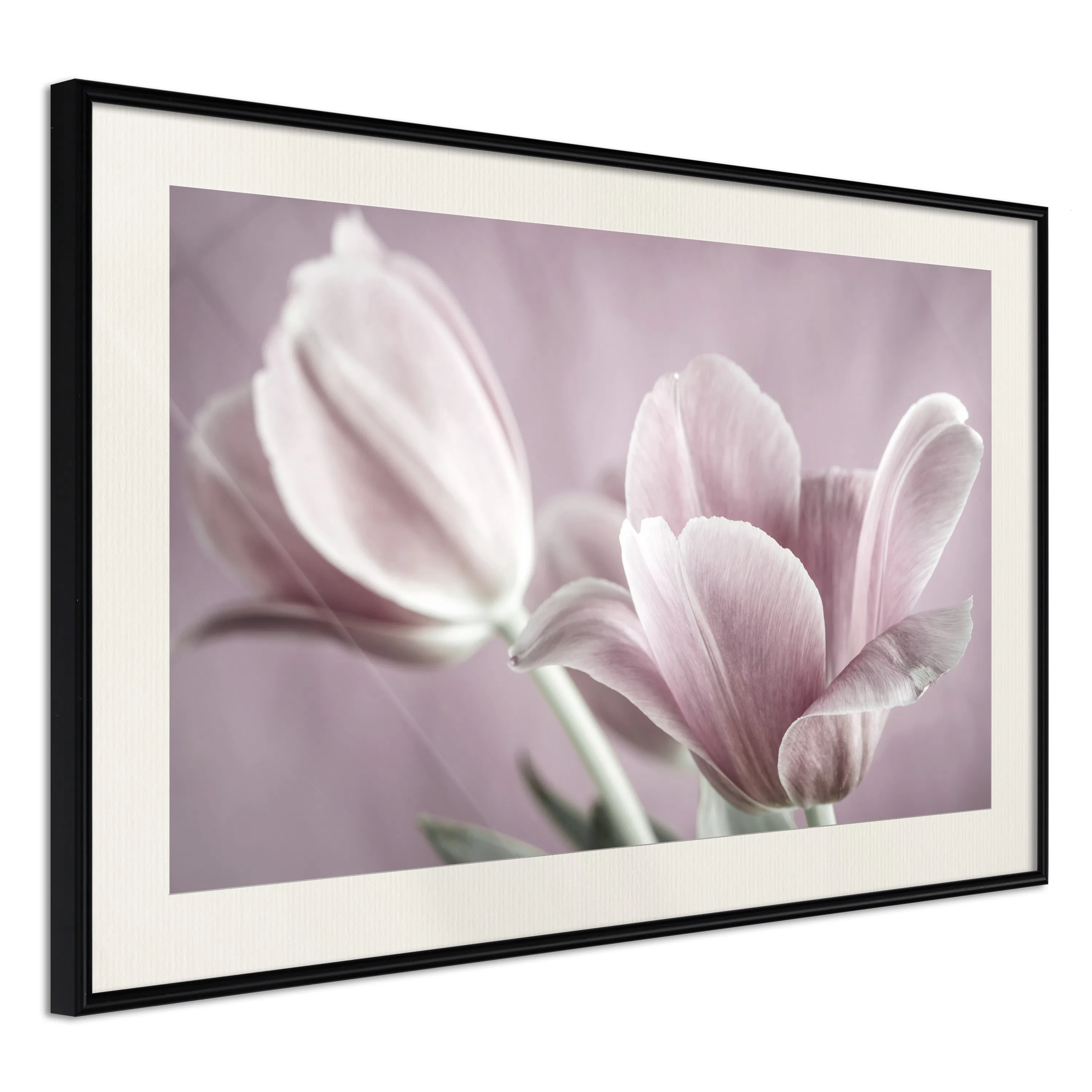 Poster Artgeist Affisch Pink Tulips