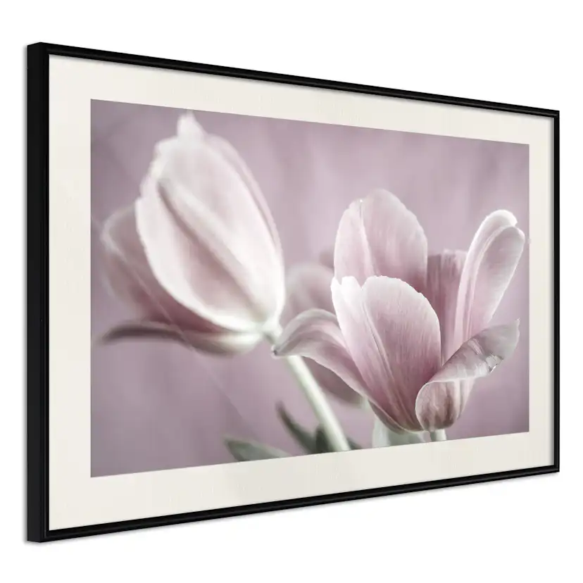 Poster Artgeist Affisch Pink Tulips