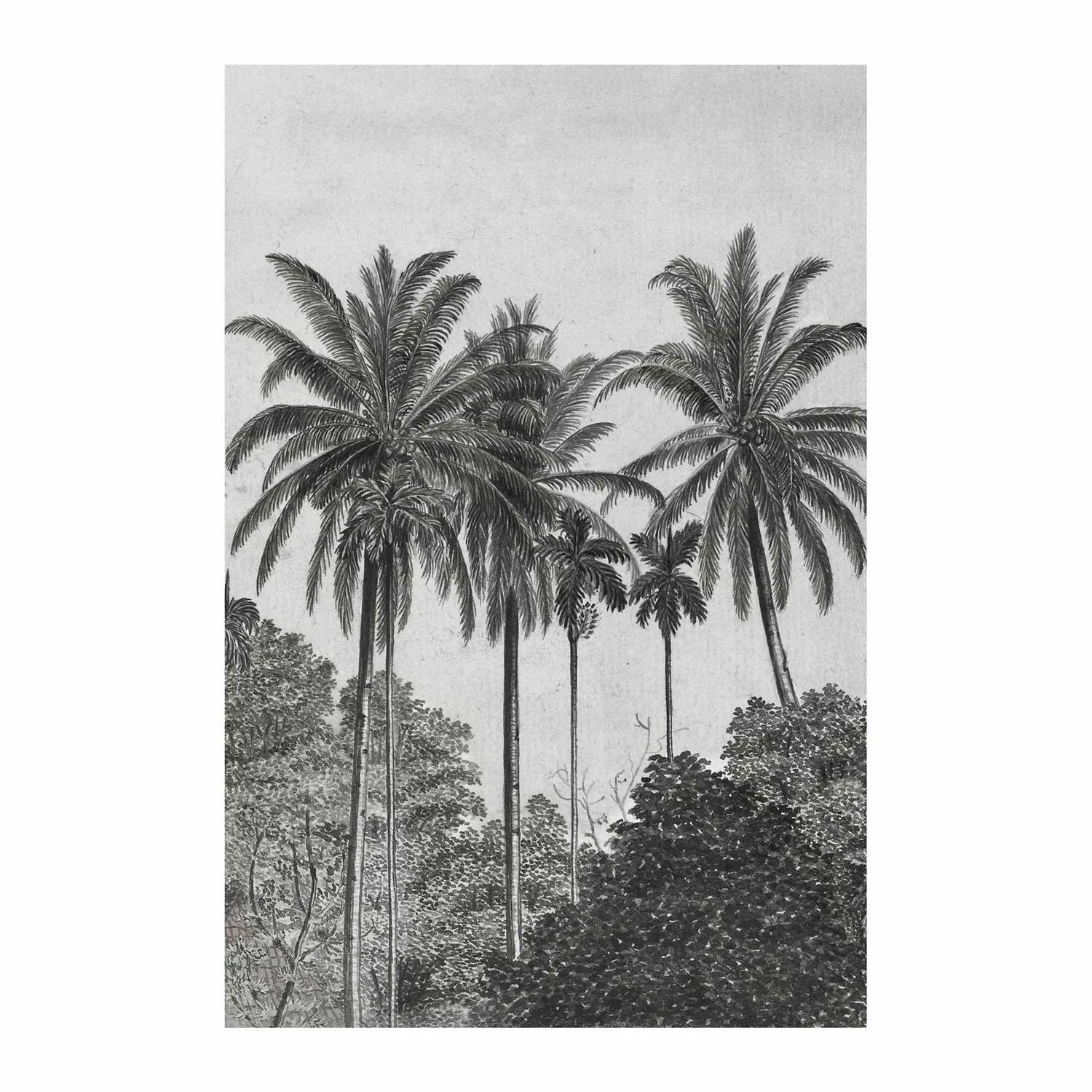 Fototapet Art For The Home Palm Lämnar 89434