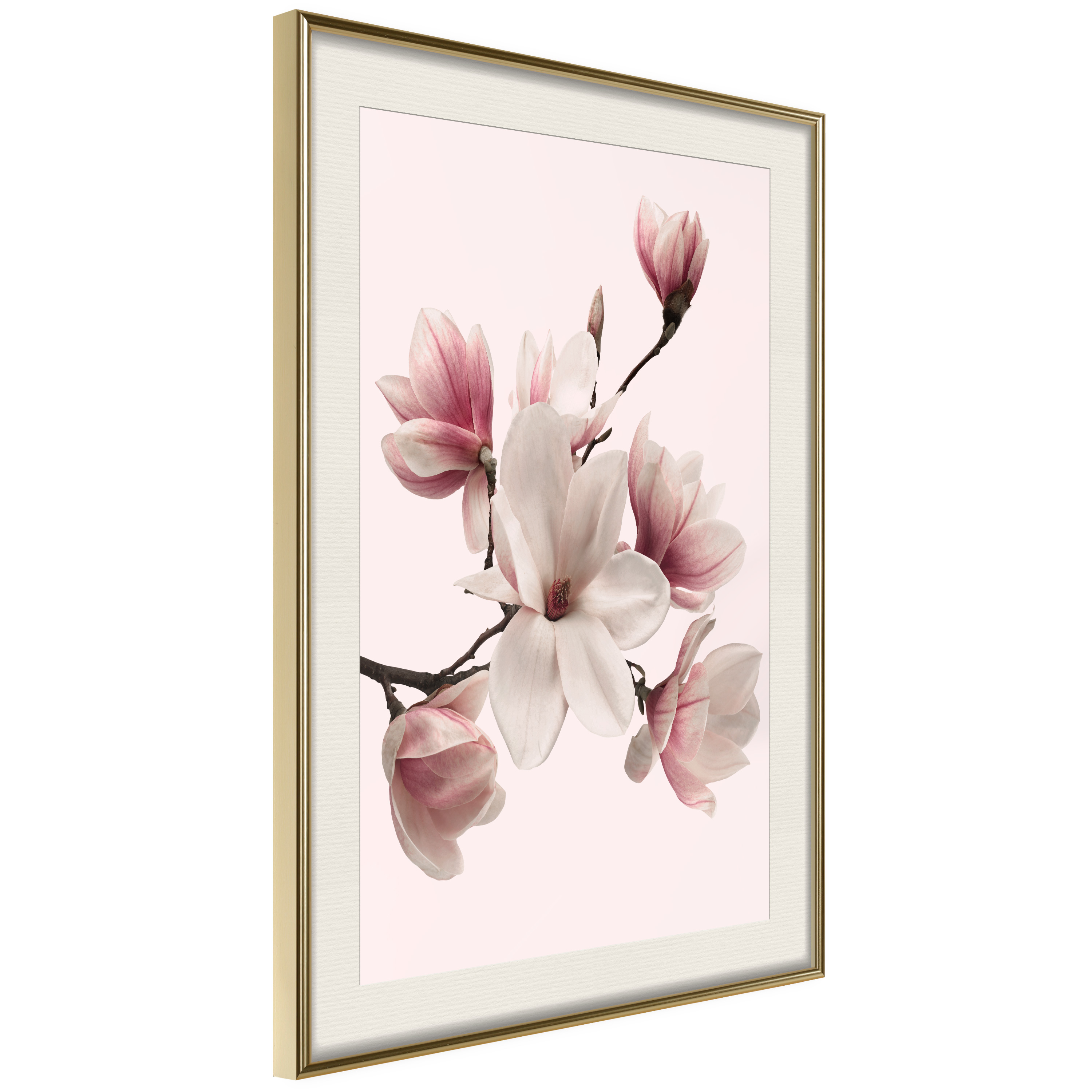 Poster Artgeist Affisch Delicate Magnolias