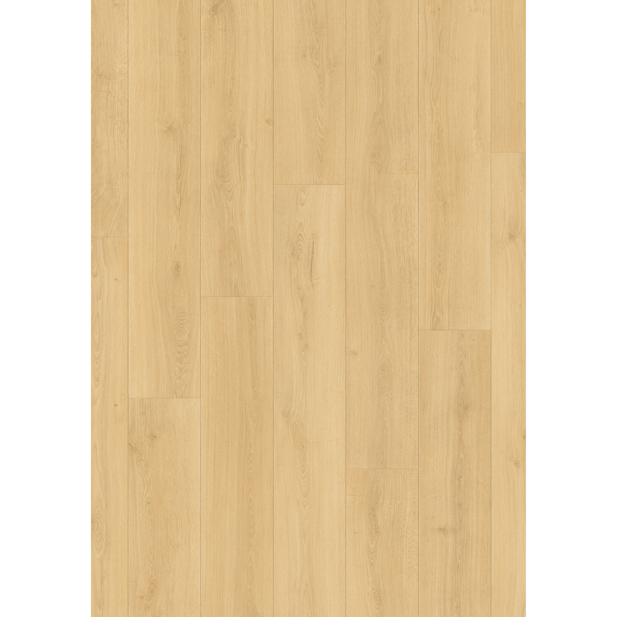 Laminatgolv Pergo Lillehammer Silk Oak