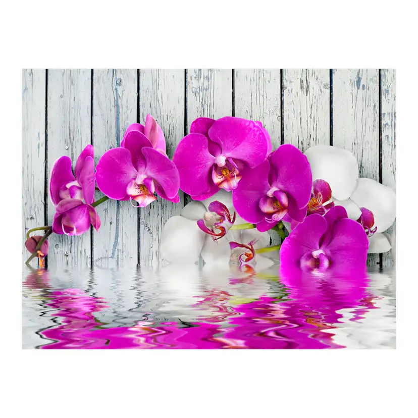 Fototapet Arkiio Violet Orchids With Water Re
