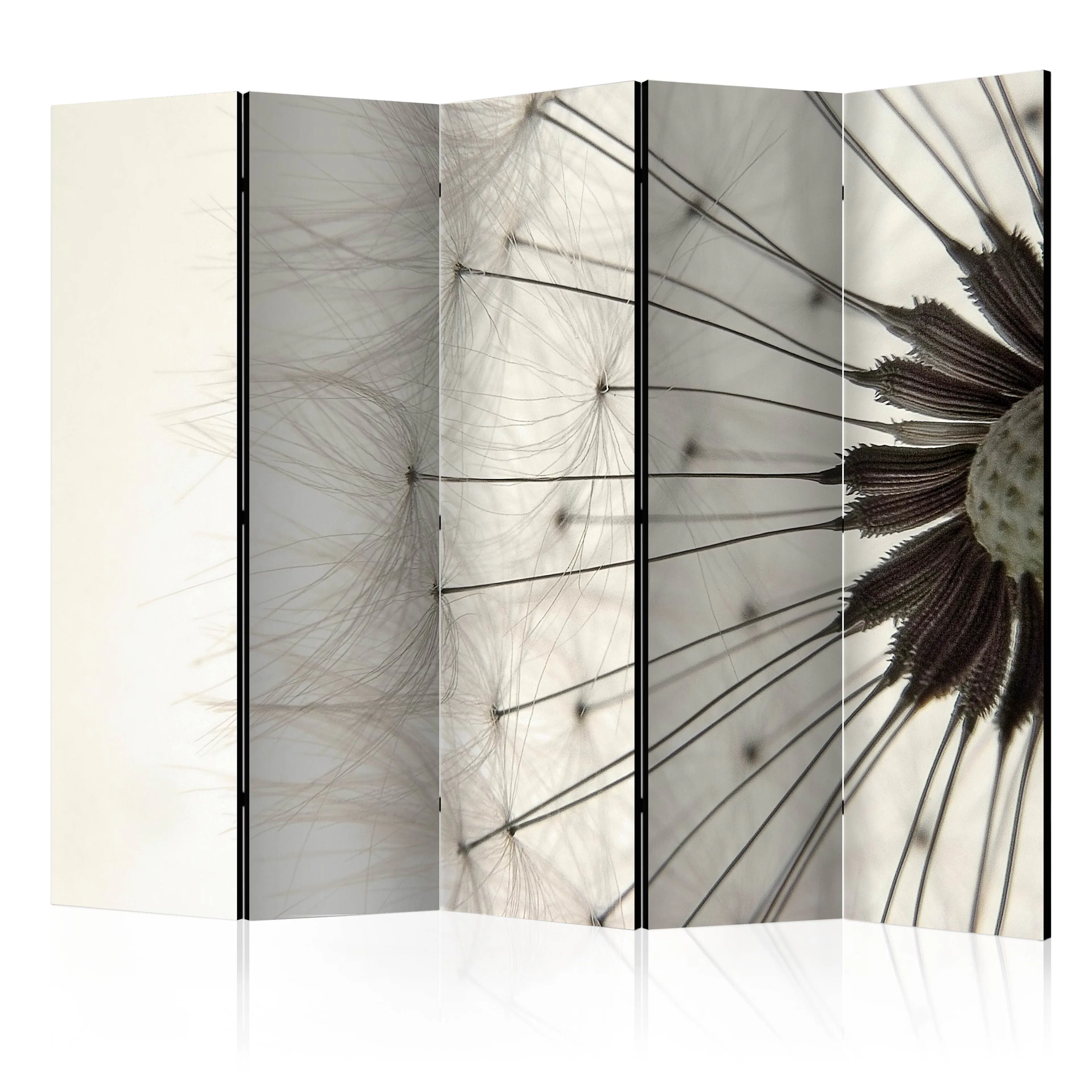 Rumsavdelare Arkiio Dandelion Seed Head II 225x172 cm