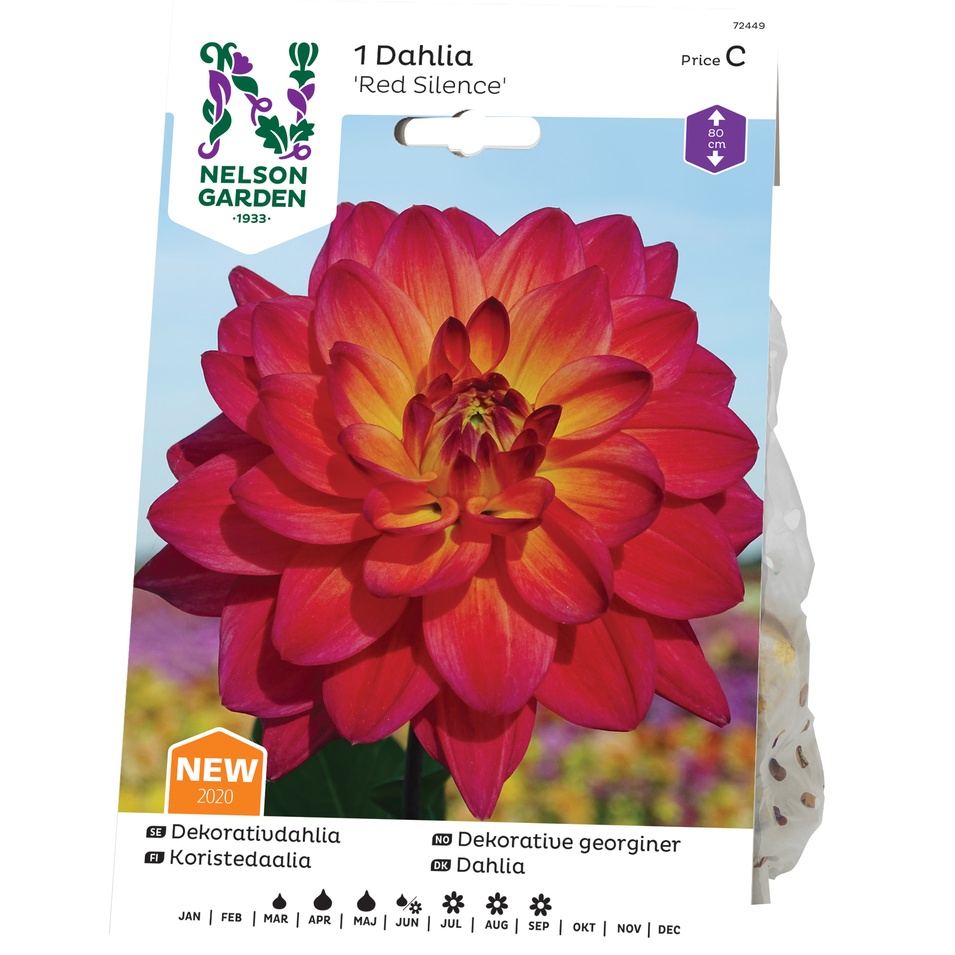 Dekorativdahlia Nelson Garden Red Silence