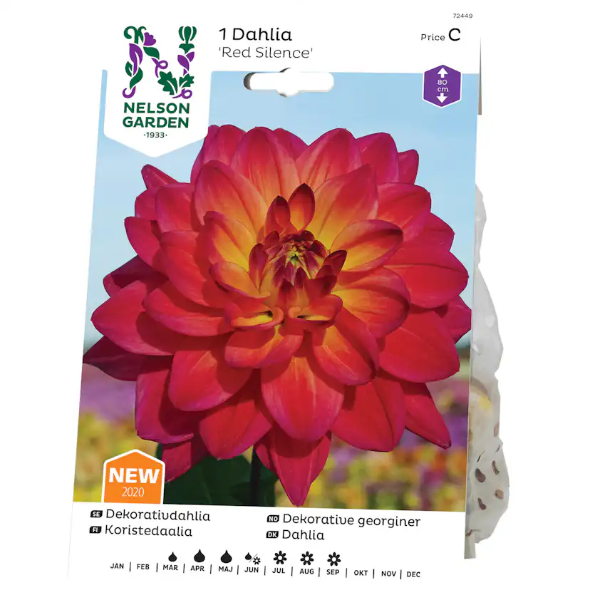 Dekorativdahlia Nelson Garden Red Silence