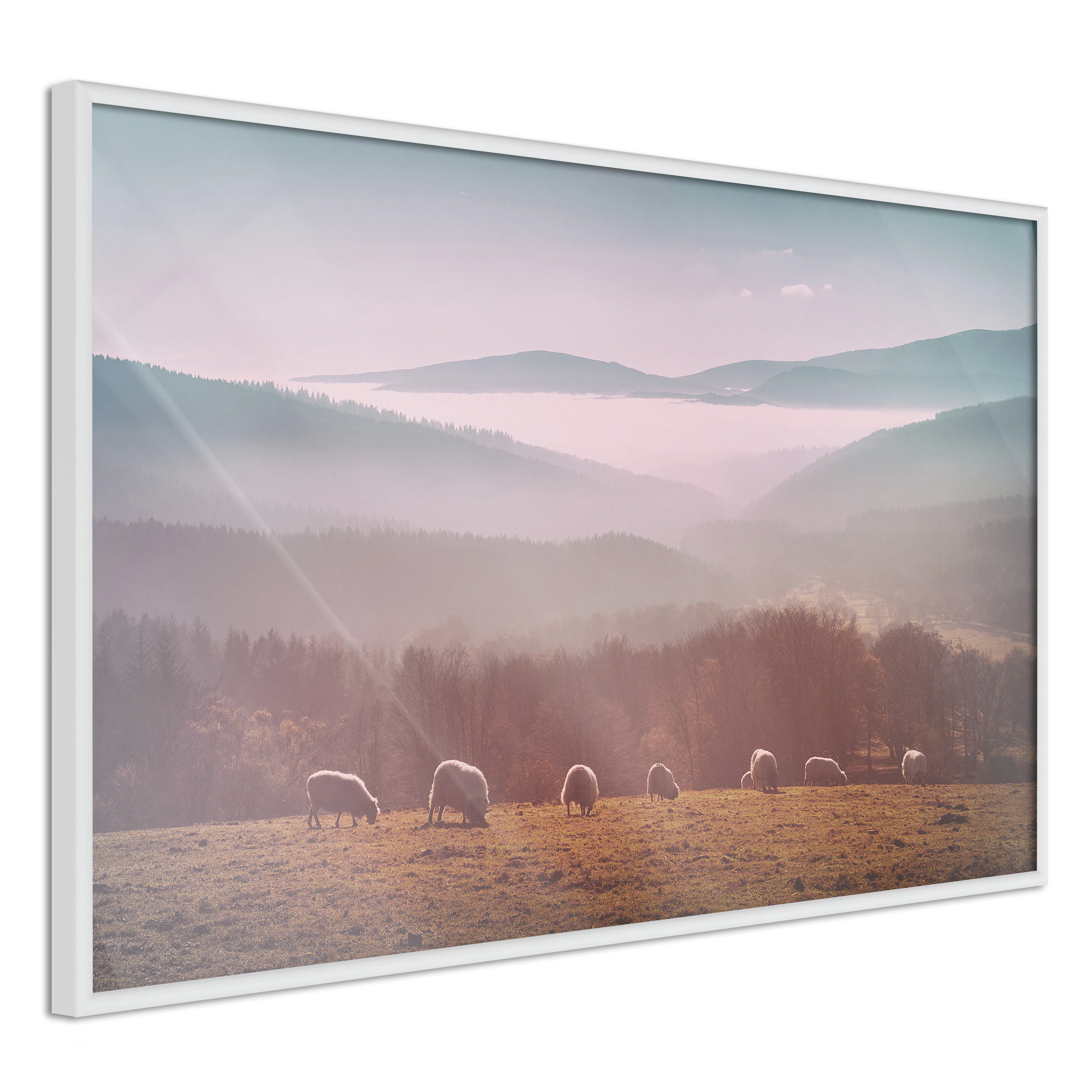 Poster Artgeist Affisch Flock of Sheep
