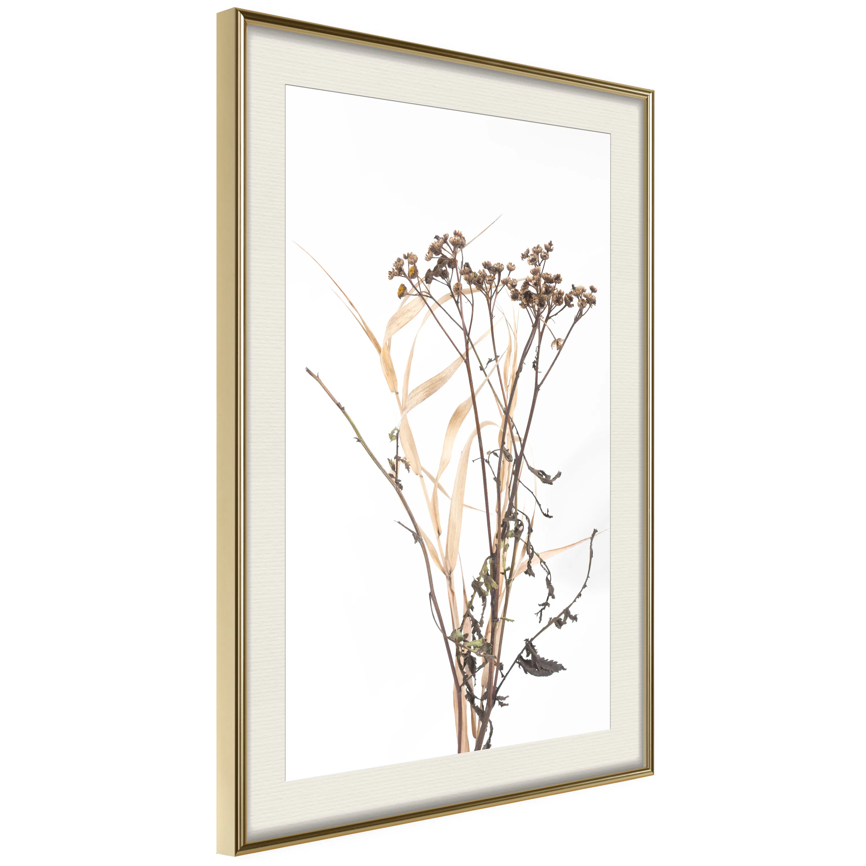 Poster Artgeist Affisch Camomile