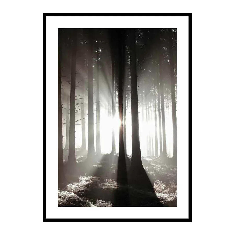 Poster Gallerix Misty Autumn Morning