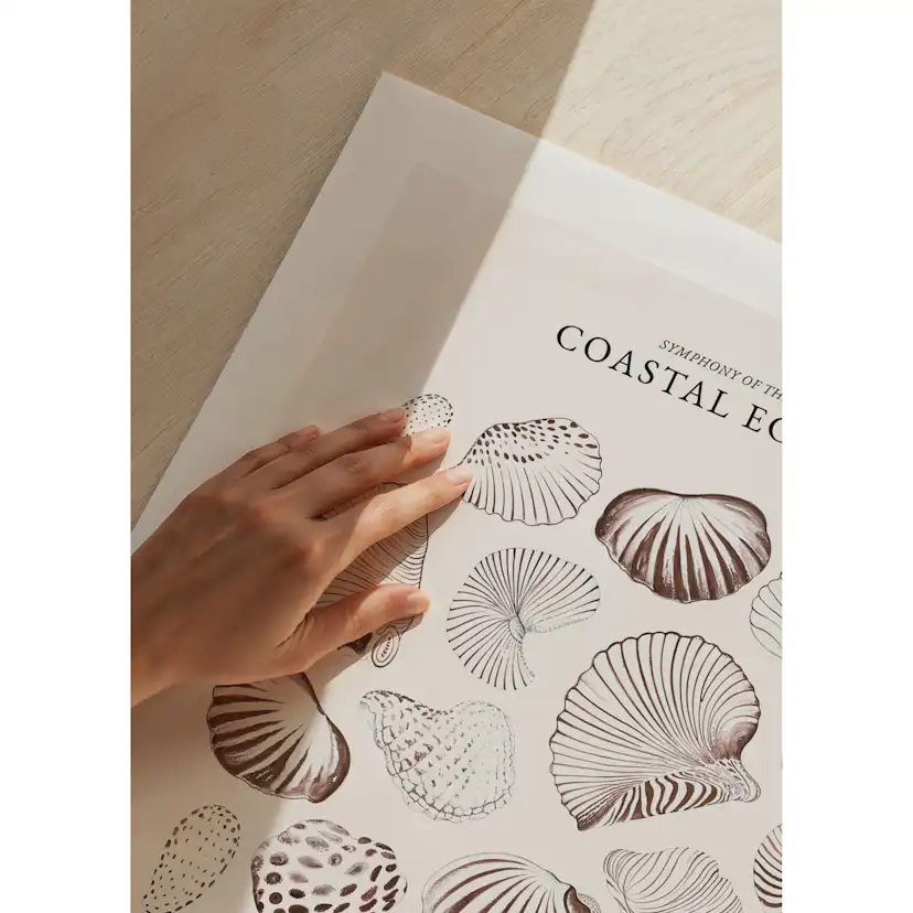 Poster Gallerix Coastal Echoes