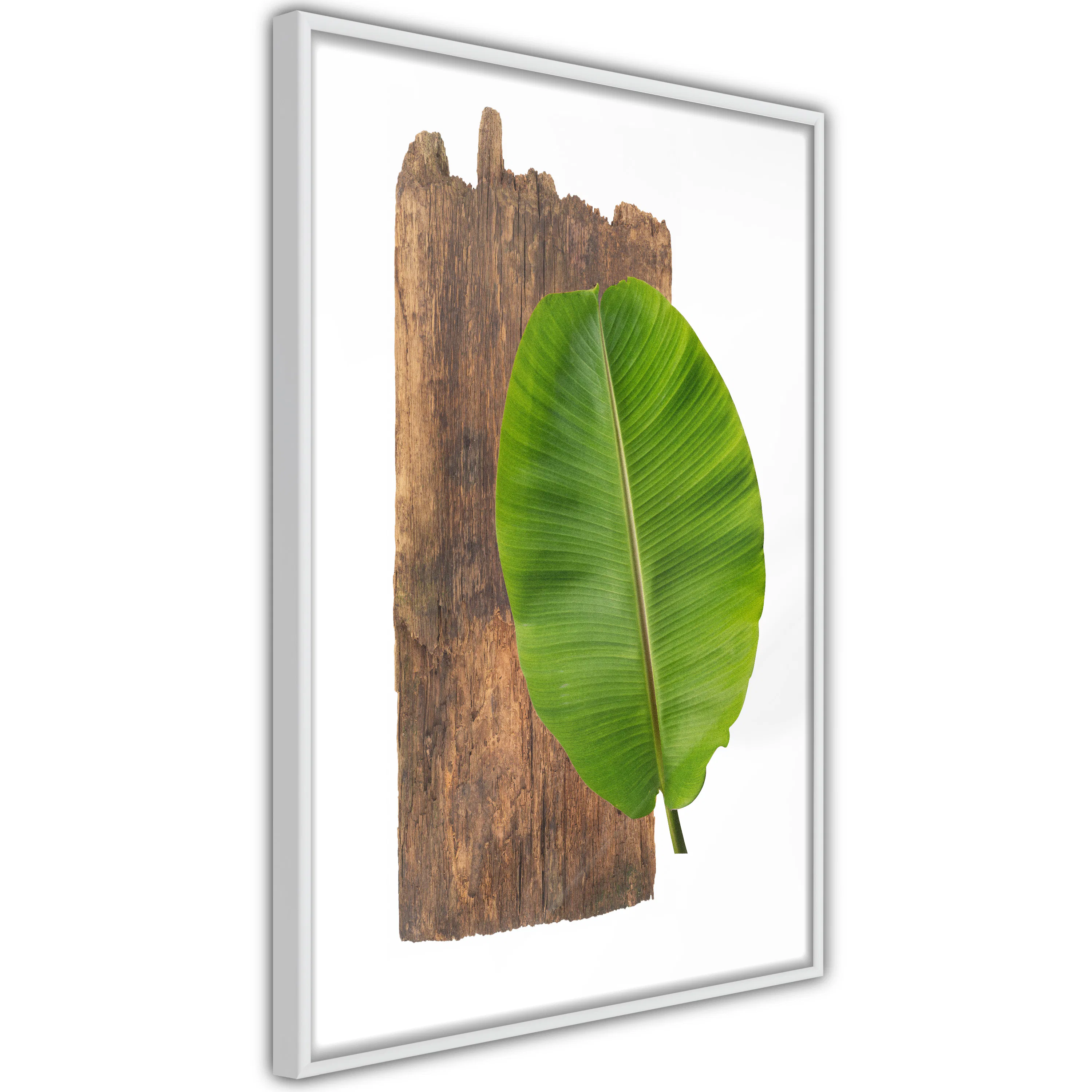 Poster Artgeist Affisch Authority of Nature