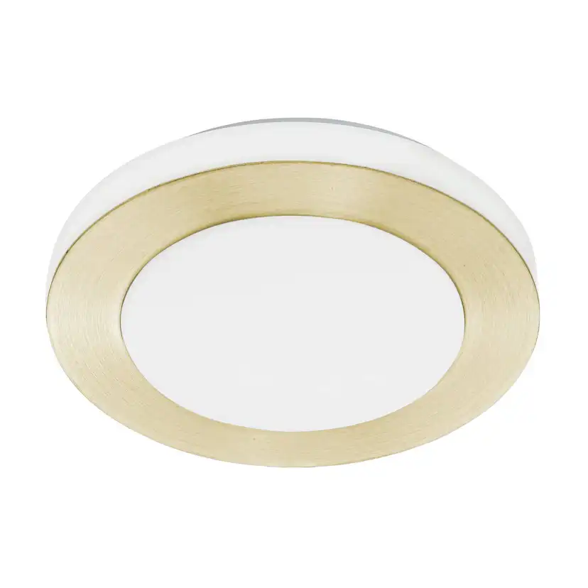 Taklampa Eglo Led Carpi
