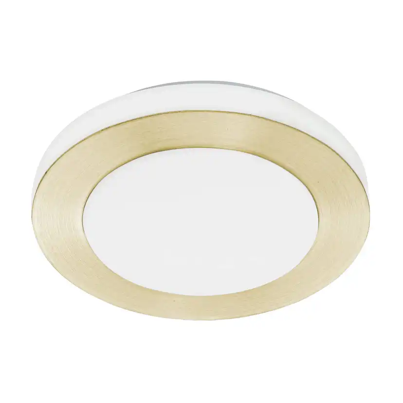 Taklampa Eglo Led Carpi