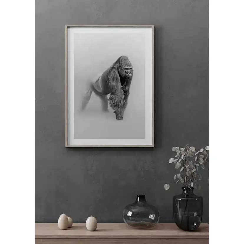 Poster Gallerix Faded Gorilla