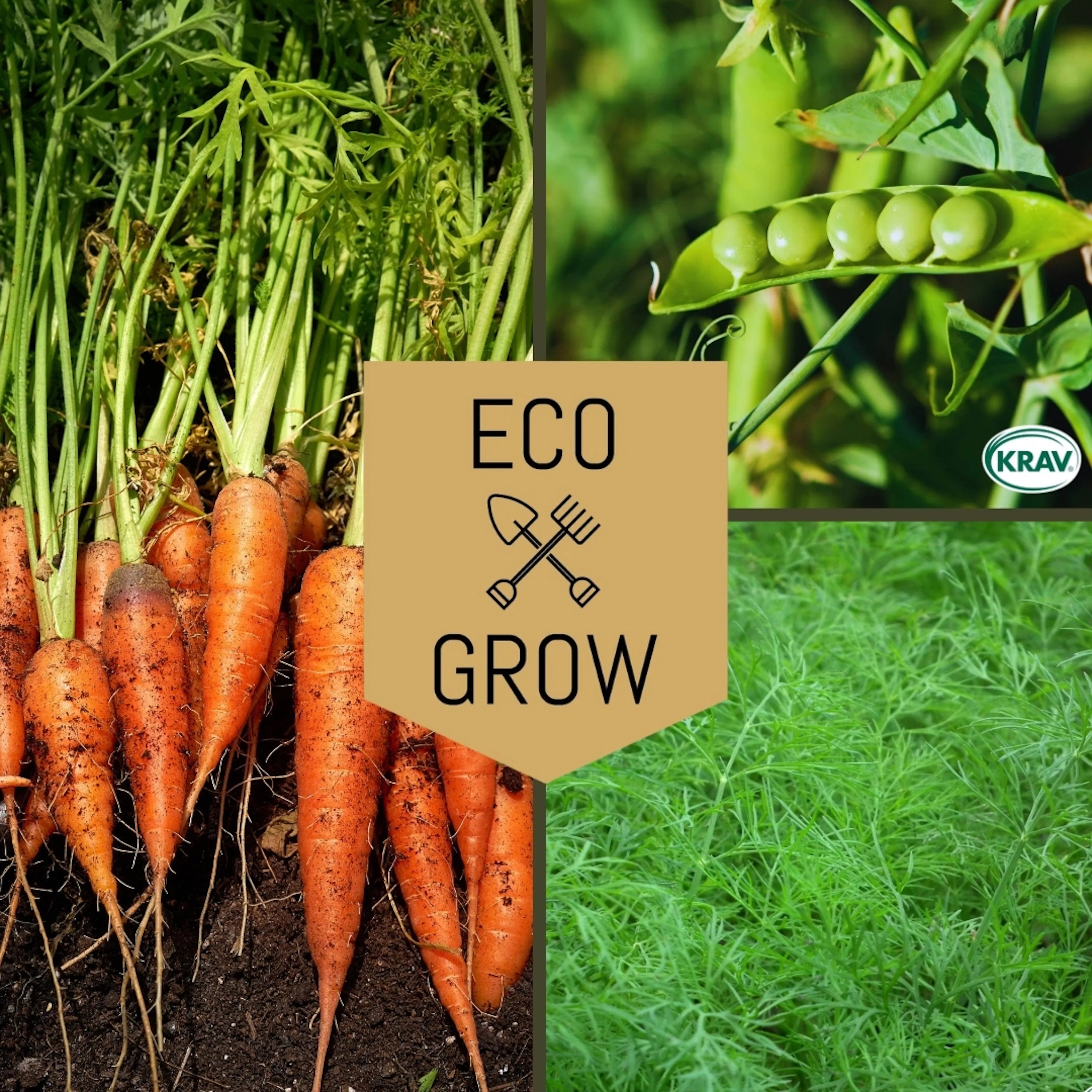 Grönsaksfröer Eco Grow Svenska Klassiker Kit 3-pack