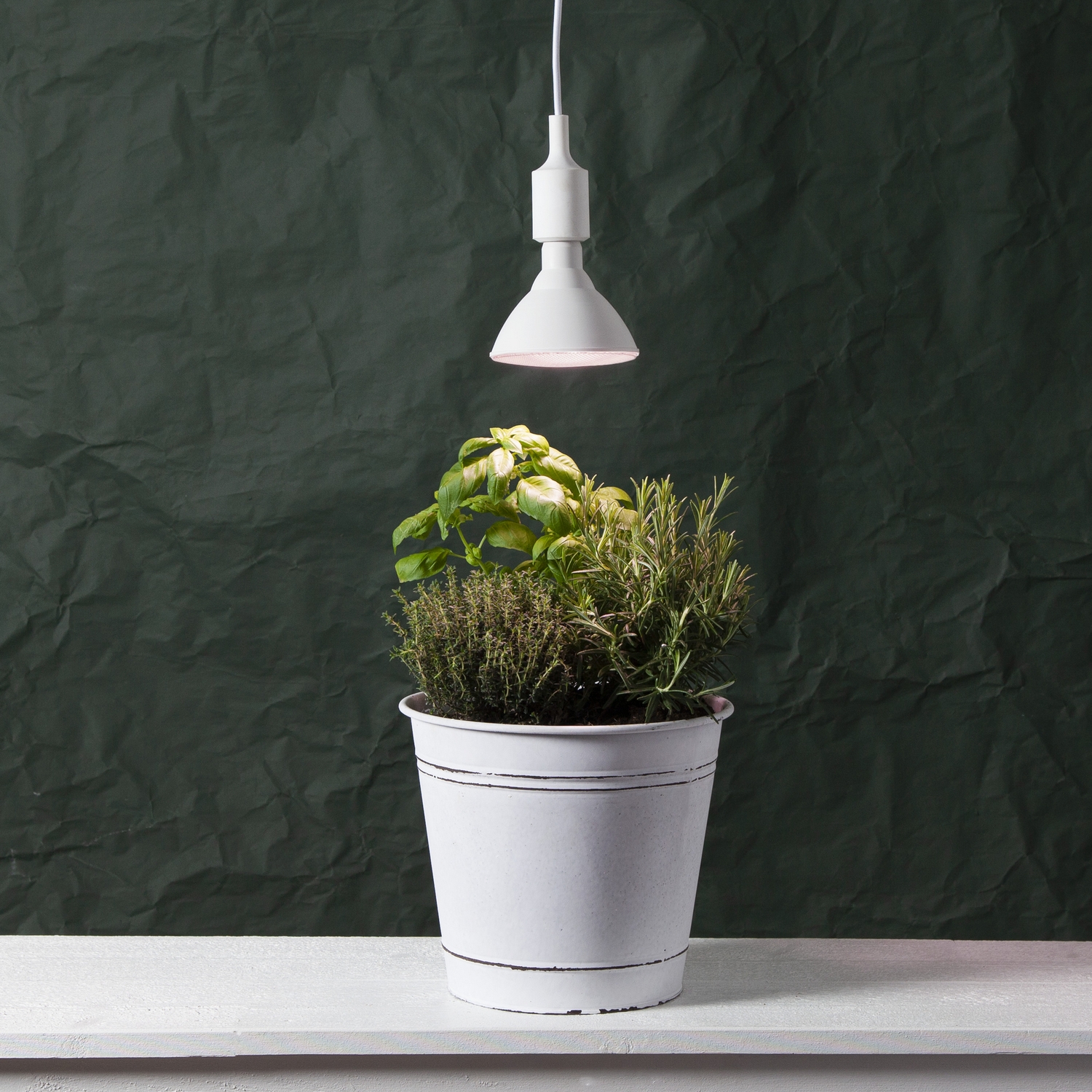 LED-lampa Star Trading E27 PAR38 Plant Light Röd