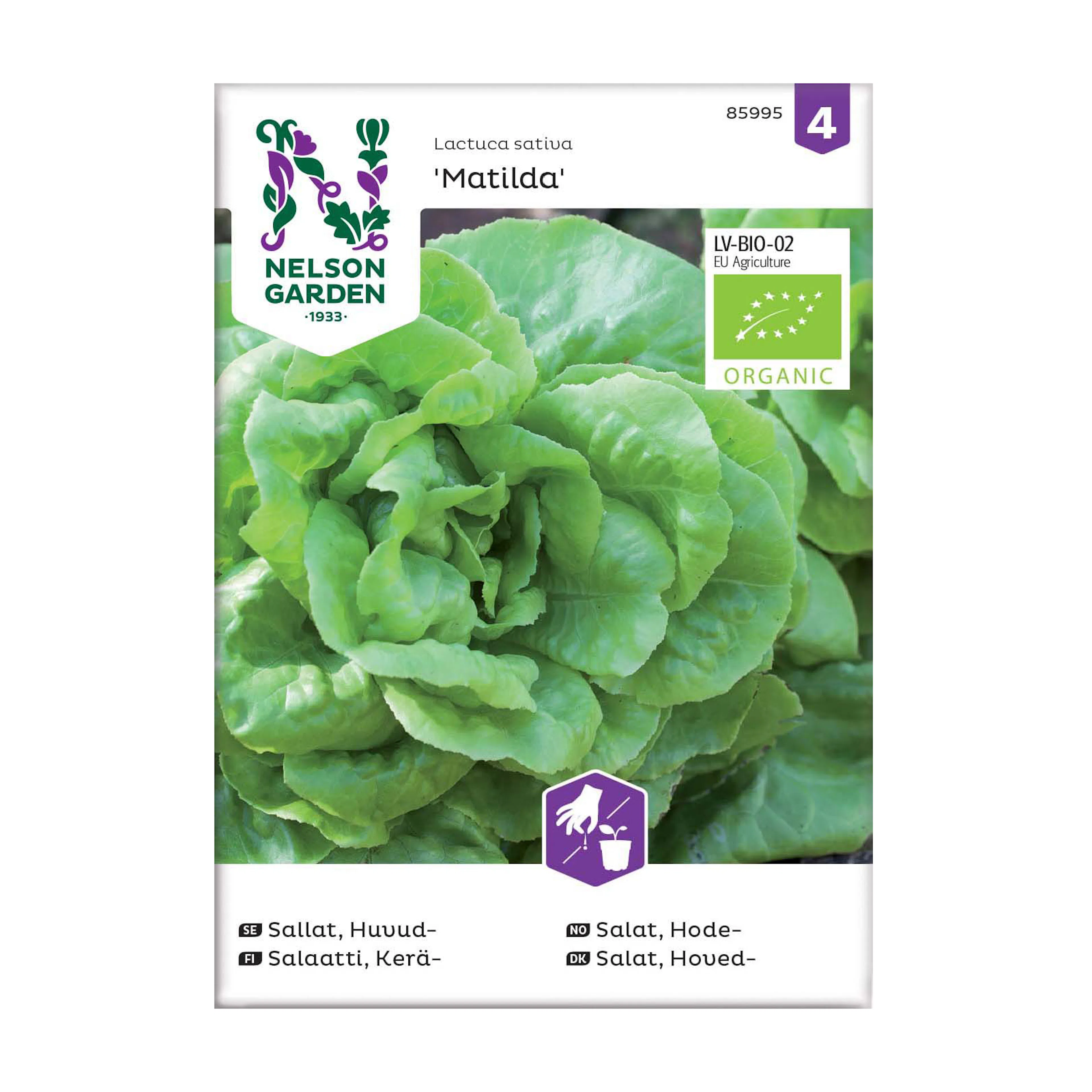Frö Huvudsallat Nelson Garden Matilda Organic