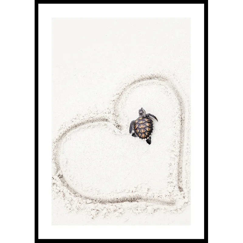 Poster Gallerix Baby Turtle On Beach