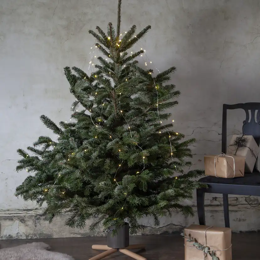 Julgransfot Star Trading Granig 080-72