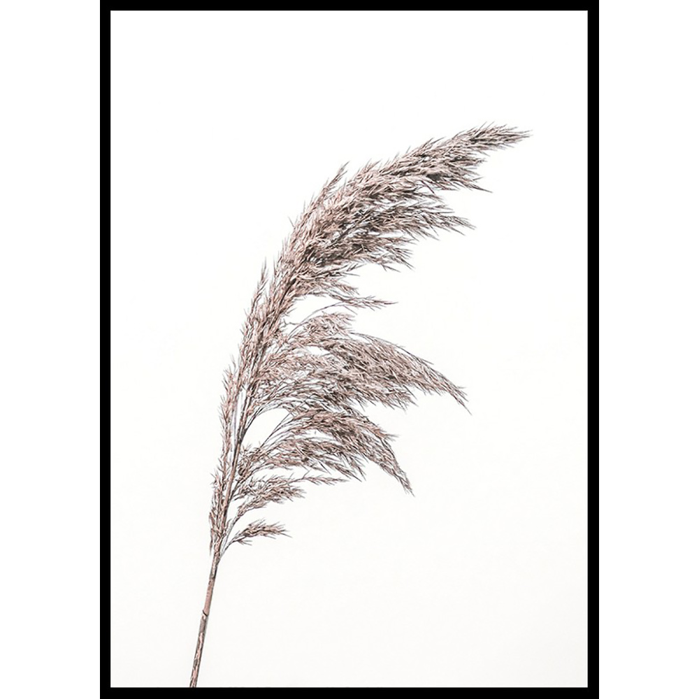 Poster Gallerix Boho Dried In Nature No3