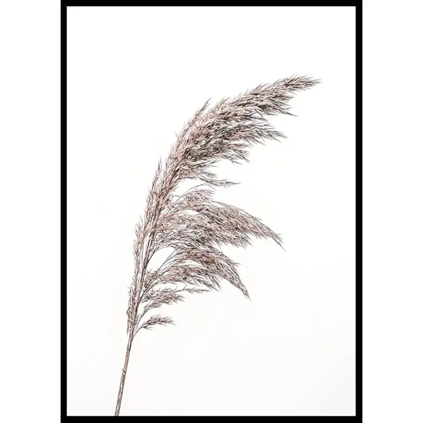 Poster Gallerix Boho Dried In Nature No3