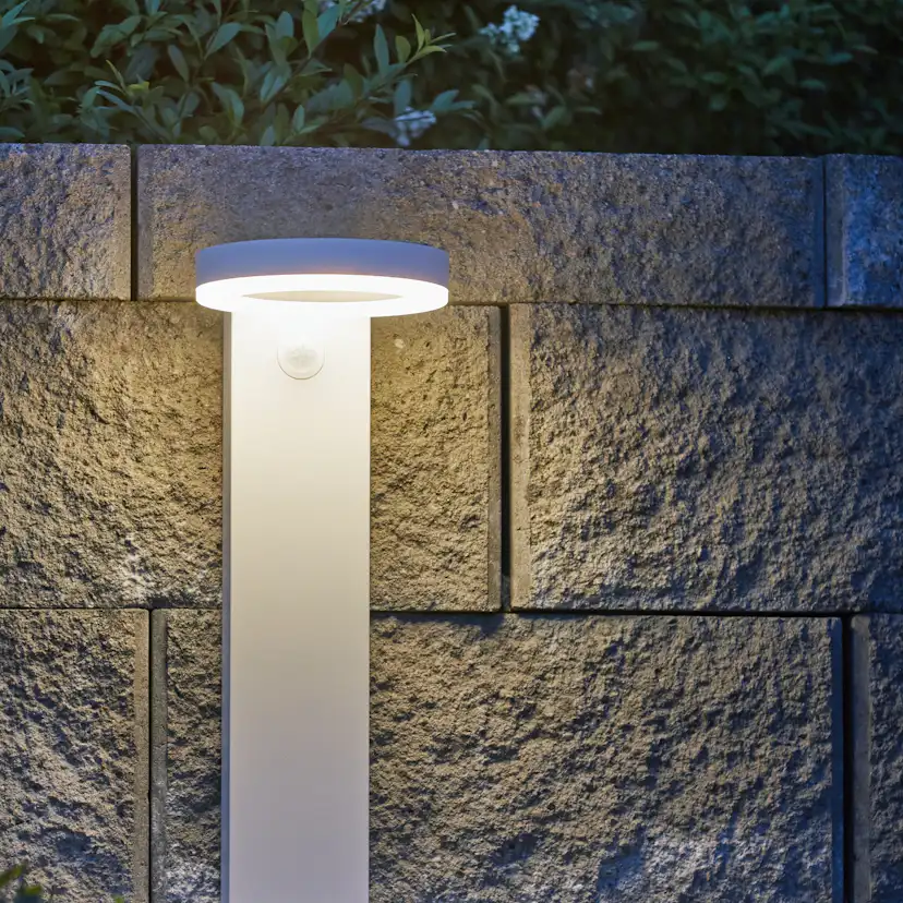 Solcells-pollare Star Trading Vidi