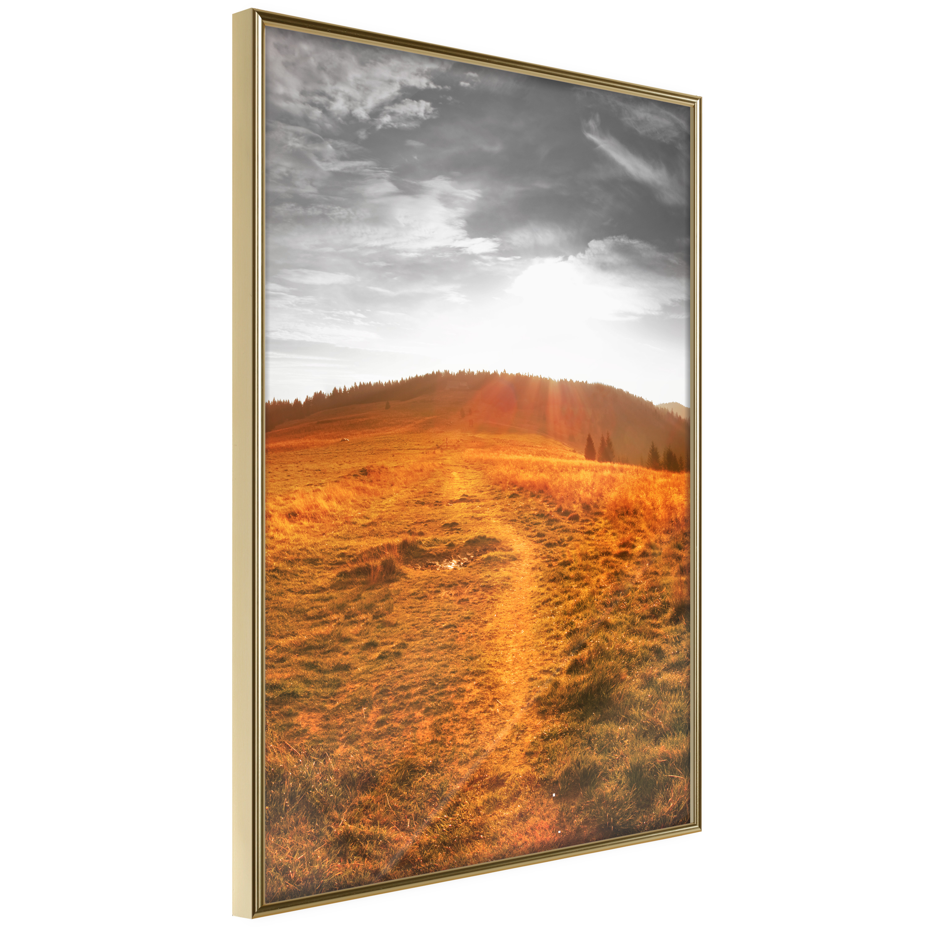 Affisch - Idyll [Poster] 20x30 Guld ram, 20x30 cm