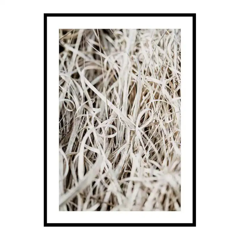 Poster Gallerix Grass
