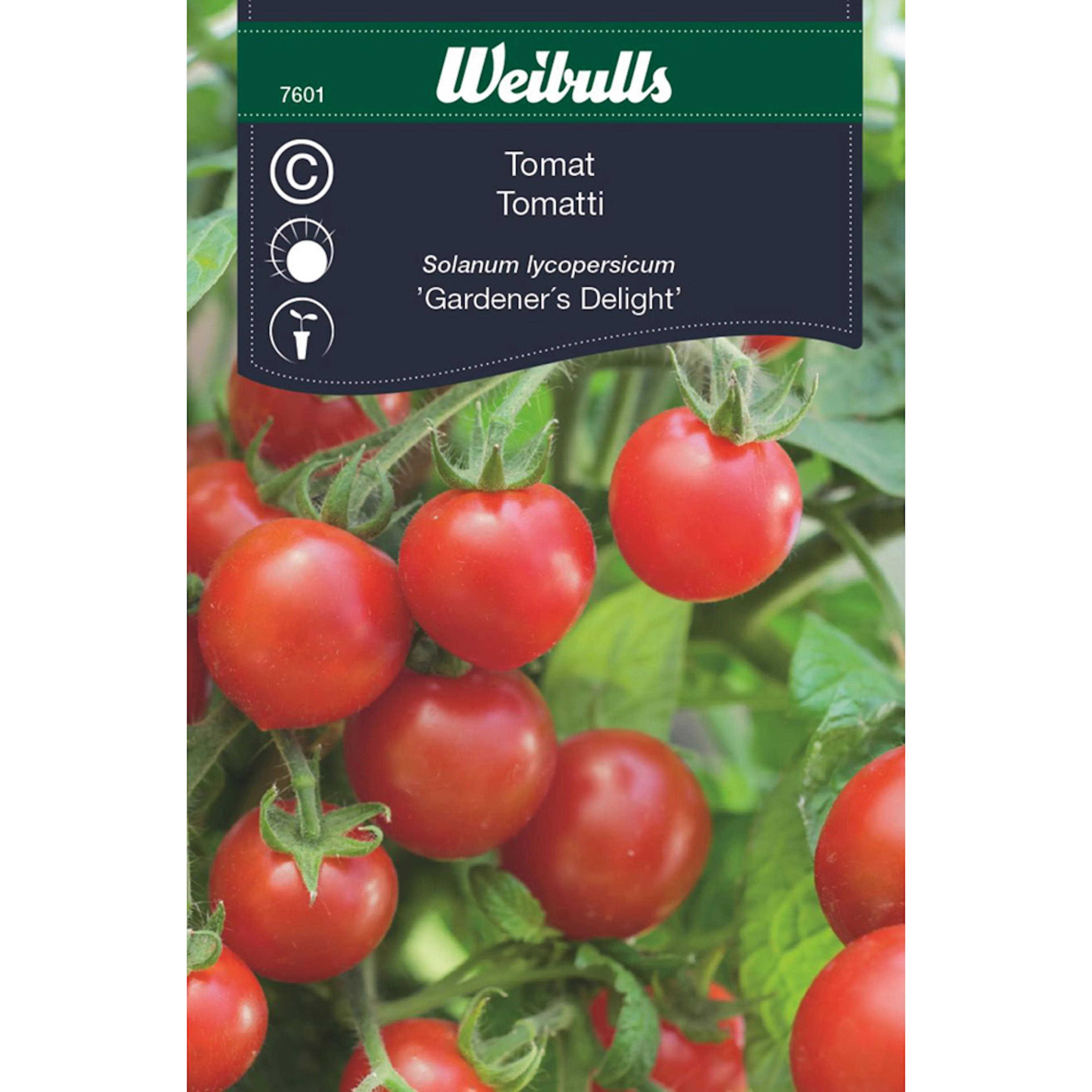 Frö Tomat Weibulls Hög