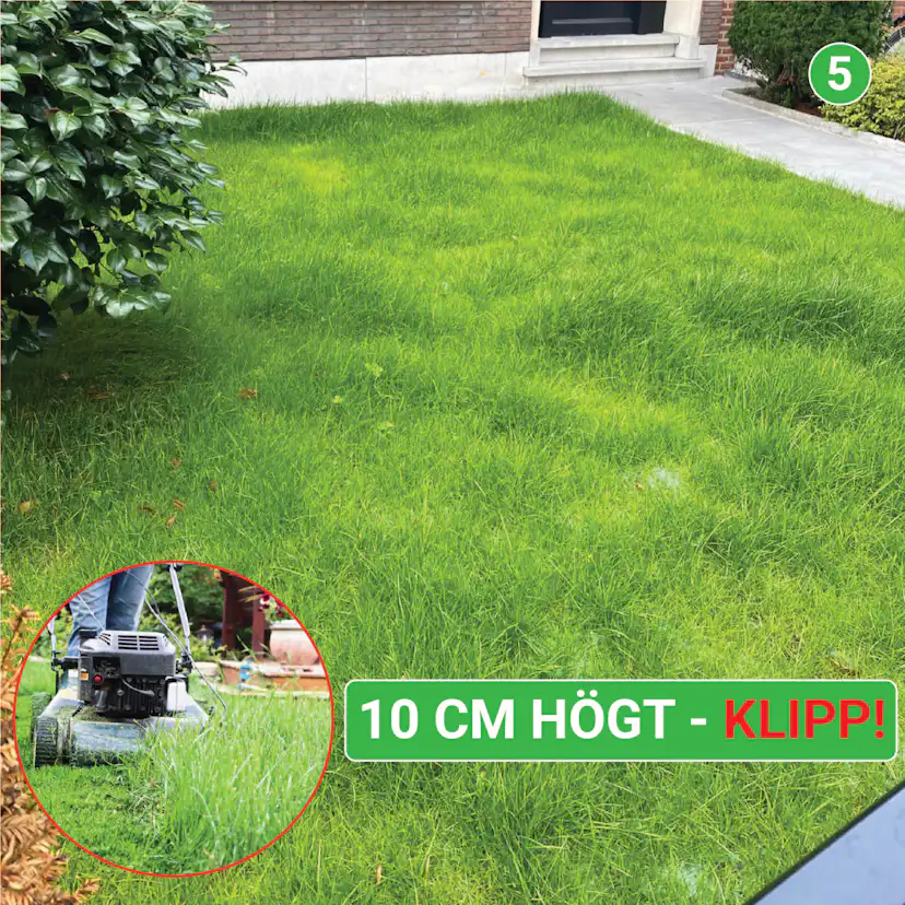 Trädgårdblommor Turfquick Blomfröer Blomsteräng Turfquick Fjäril & Humla 5 kvm