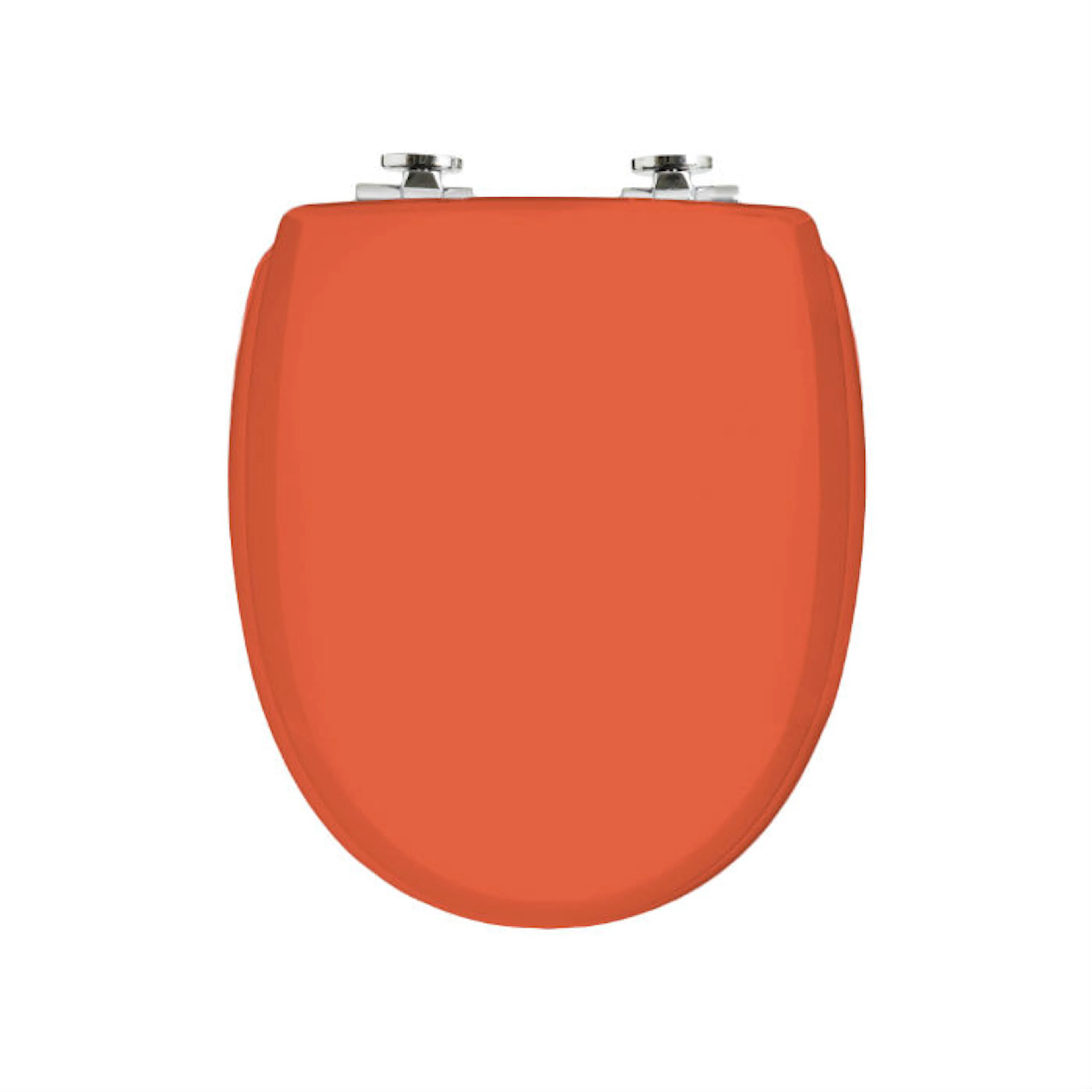 Gerbera