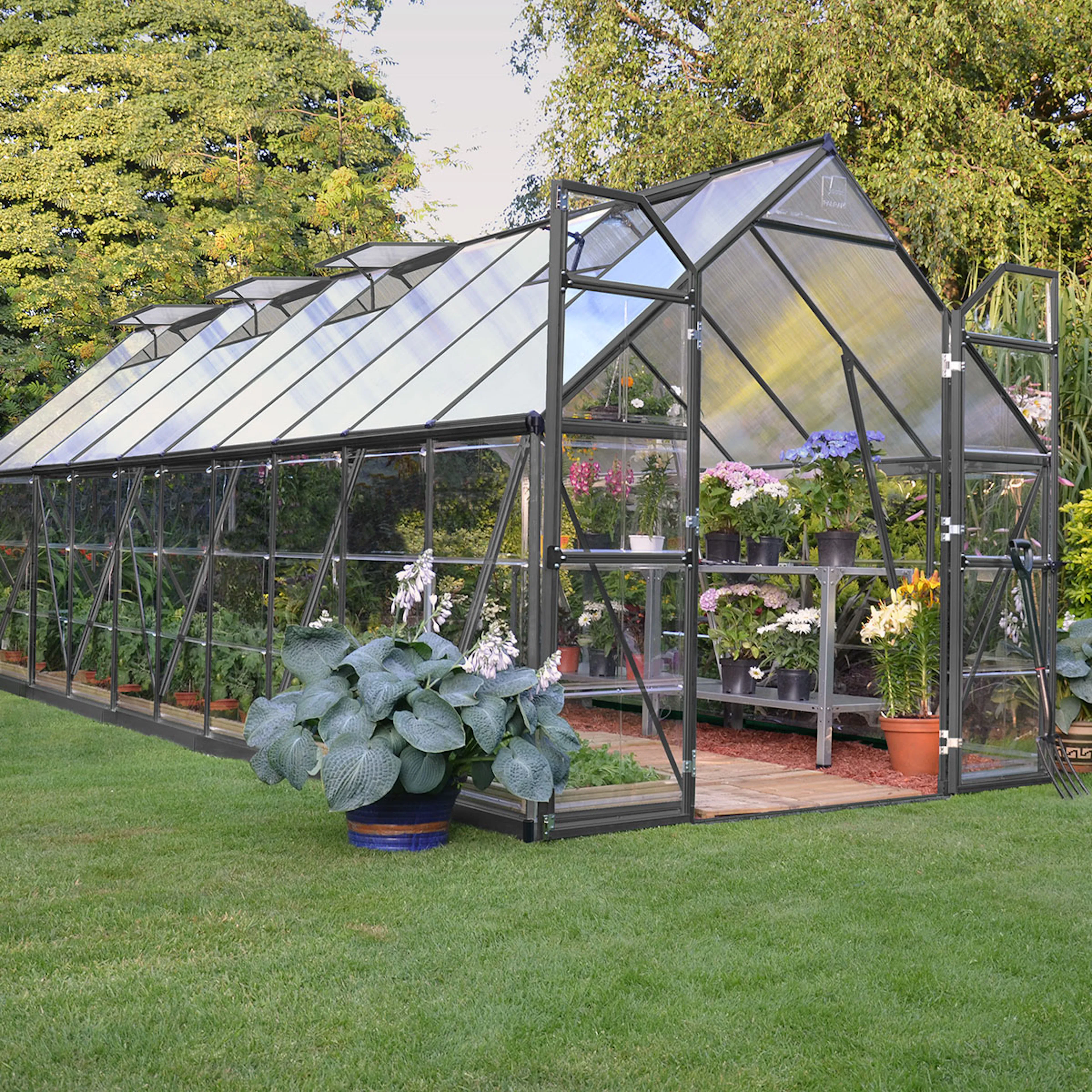 Grå