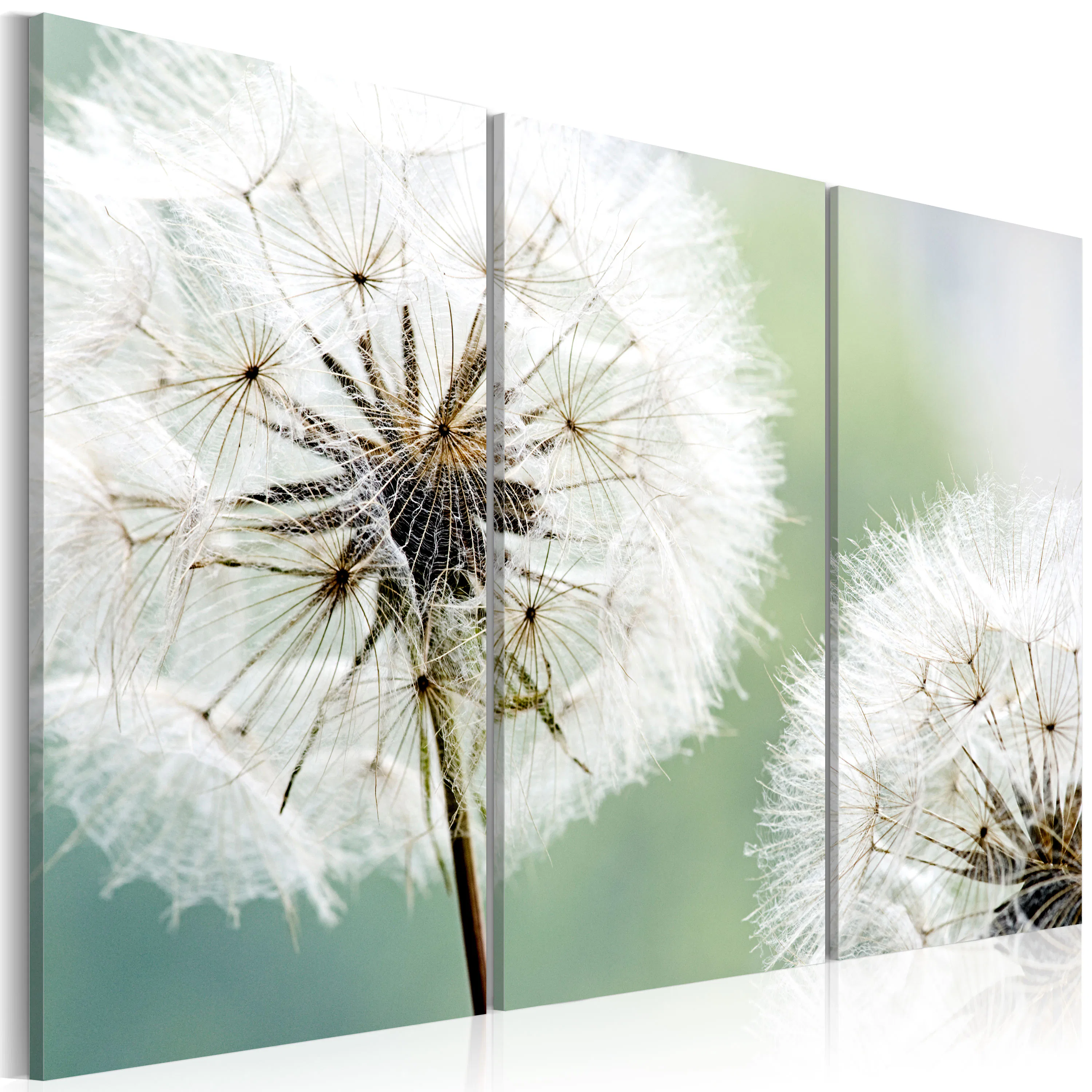 Akrylglastavla Arkiio Fluffy Dandelions