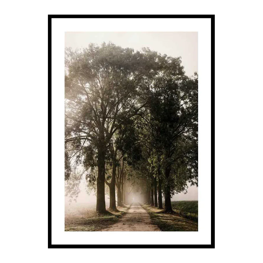 Poster Gallerix Morning Road