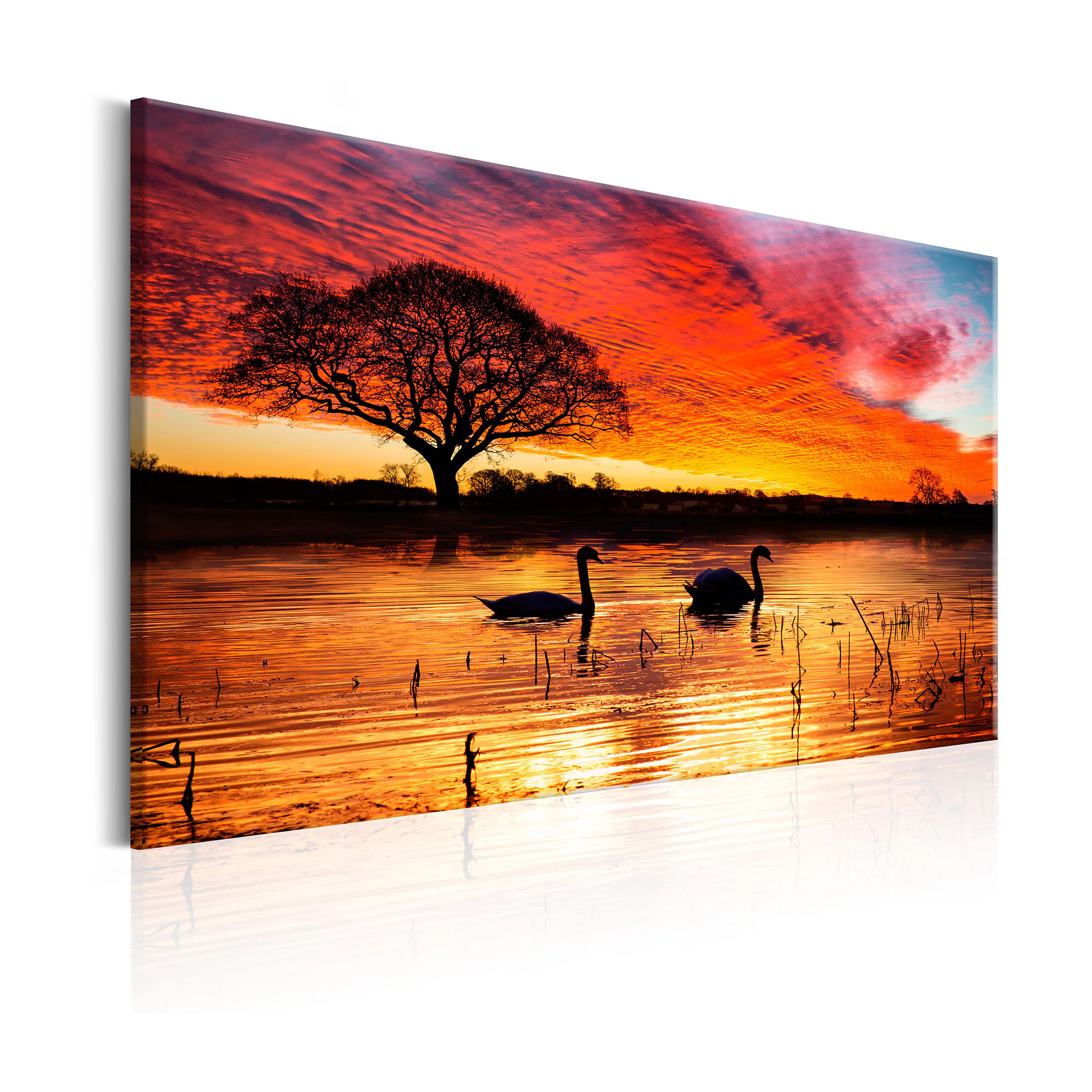 Tavla Arkiio Swan Lake