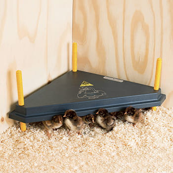 Värmetak Ryom Olba för Kycklingar Hörn