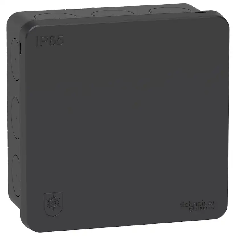 Kopplingsdosa Schneider Electric Mureva Utanpåliggande 2K med Klicklock IP65 utan Anslutningsplint