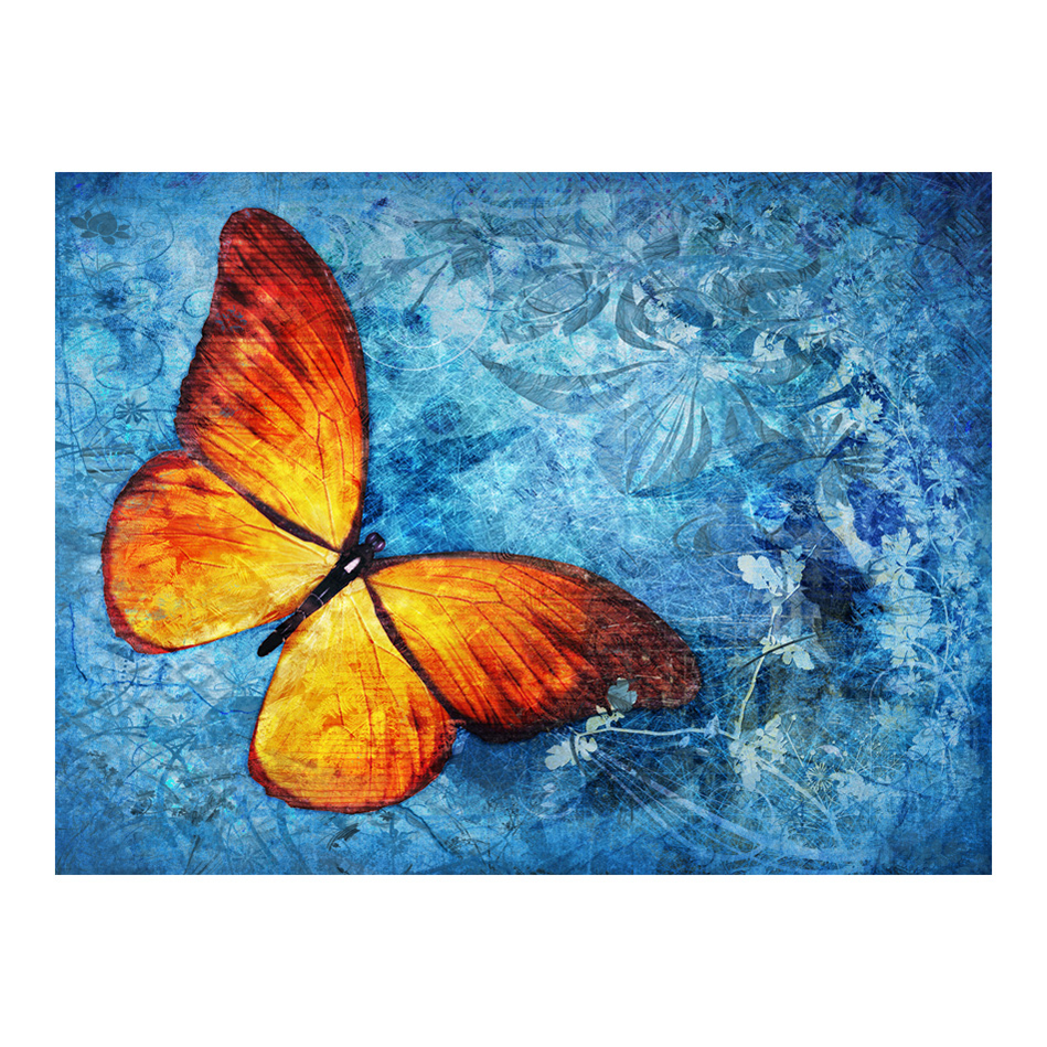 Fototapet Arkiio Fiery Butterfly