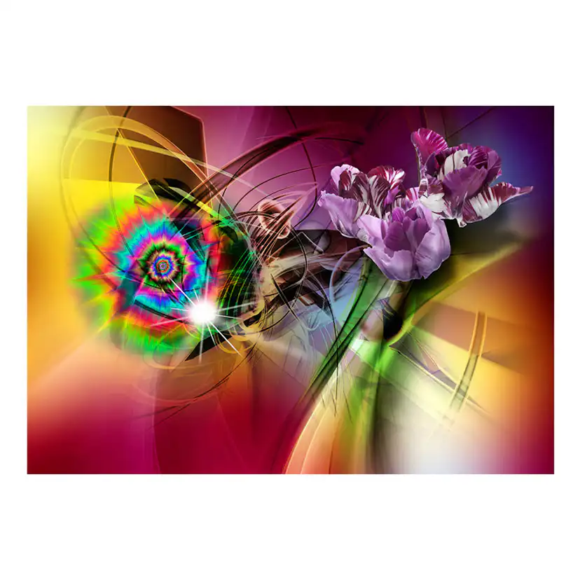 Fototapet Arkiio Magic Light Of Colors