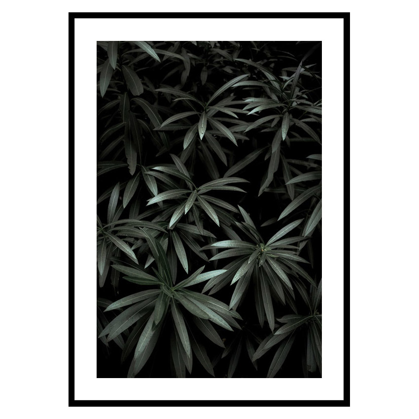 Poster Gallerix Dark Green No1