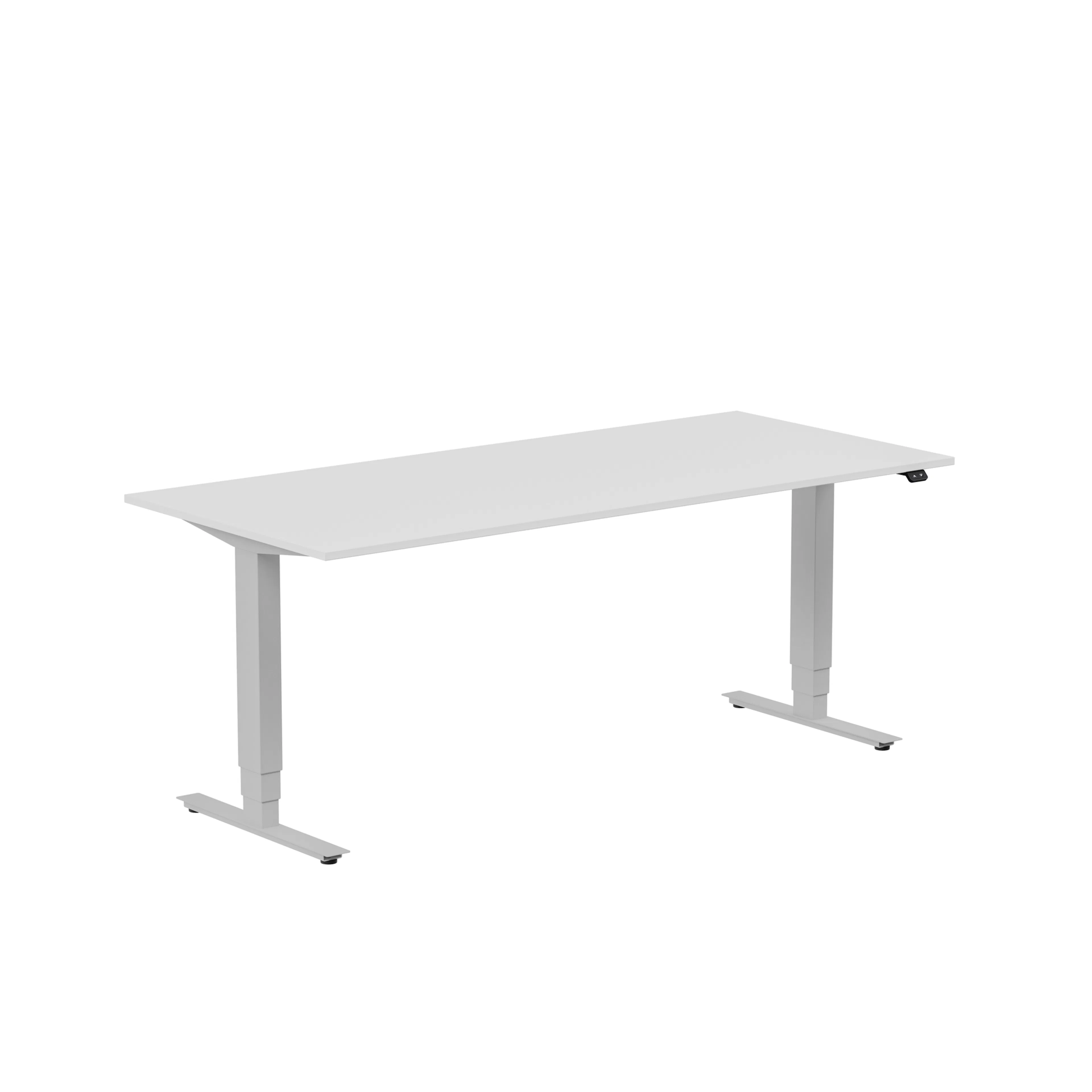 Ljusgrå/Silver
