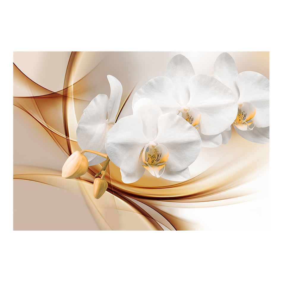 Fototapet Arkiio Orchid Blossom