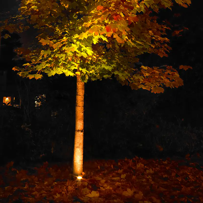 MARKBELYSNING RENA LED STÅL Stål/Klar