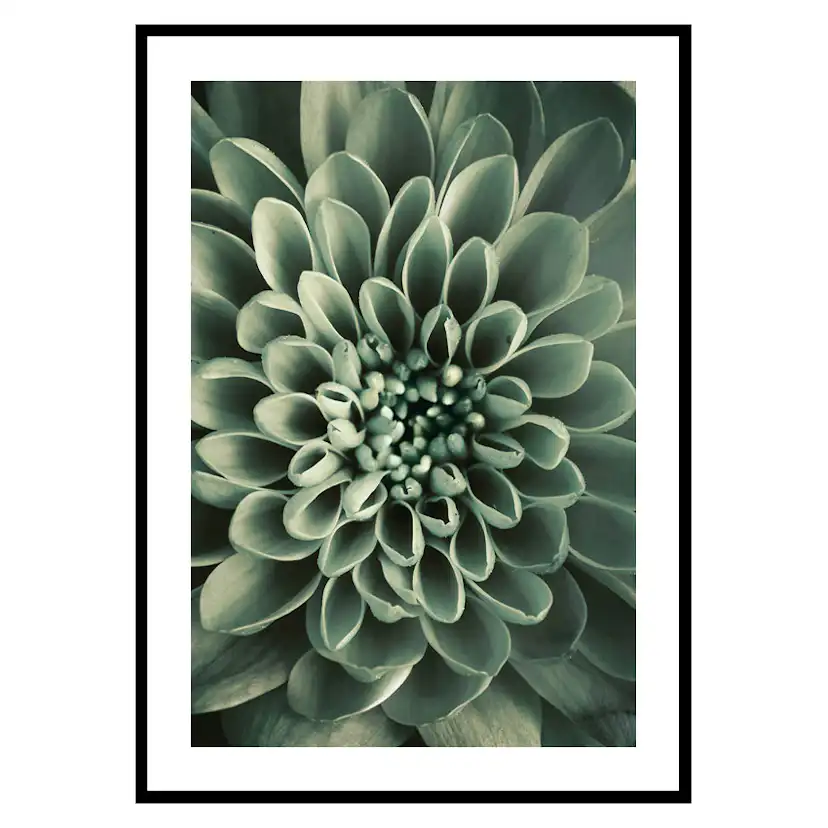 Poster Gallerix Green Petals