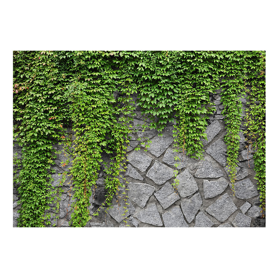 Fototapet Arkiio Green Wall